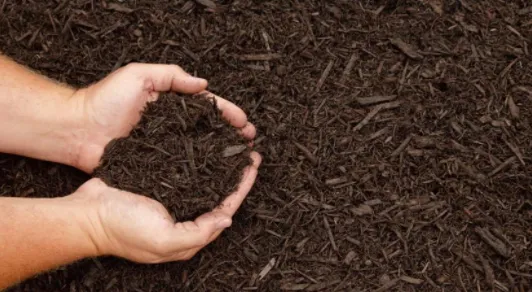 Custom lawn care service for beautiful yards in Jarrettsville, MD by R&C Services