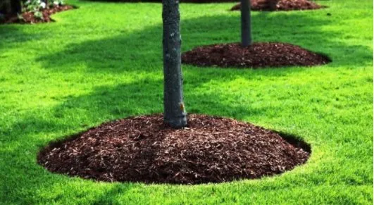 Trusted landscape installation experts serving Jarrettsville, MD - R&C Services