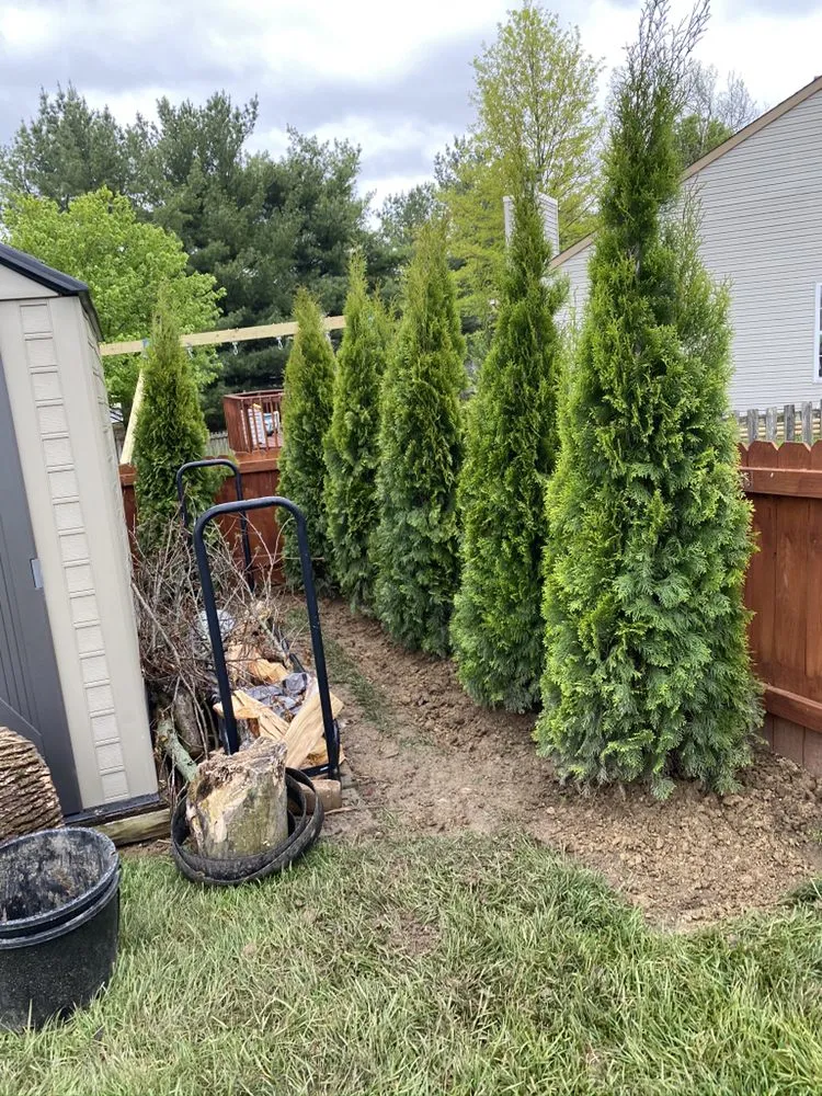 Affordable residential landscaping for outdoor upgrades across Lawrence, IN - R&C Tree And Landscaping services