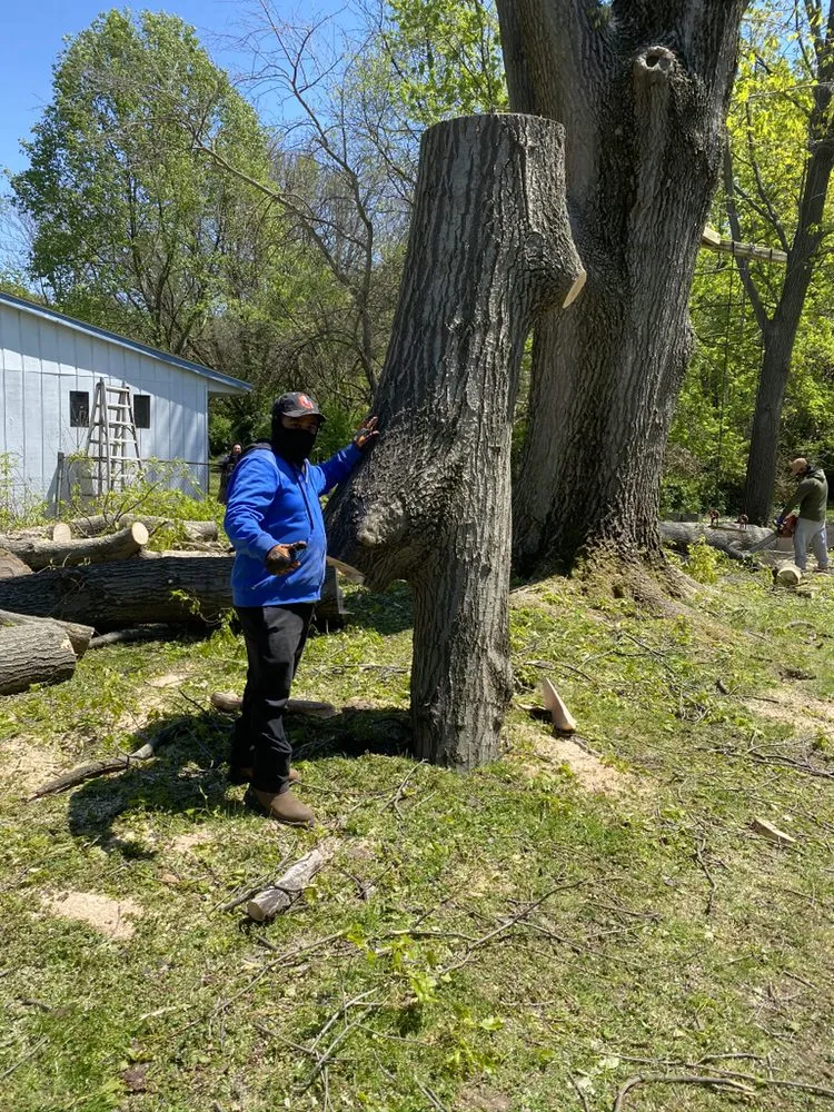 Top-rated garden landscaping with custom design across Lawrence, IN - R&C Tree And Landscaping services