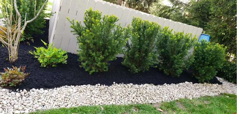 Expert lawn care service experts serving Lawrence, IN - R&C Tree And Landscaping services