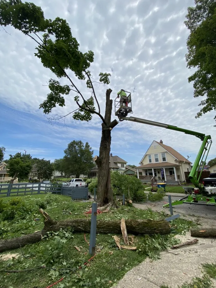 Professional yard cleanup service in Lawrence, IN by R&C Tree And Landscaping services