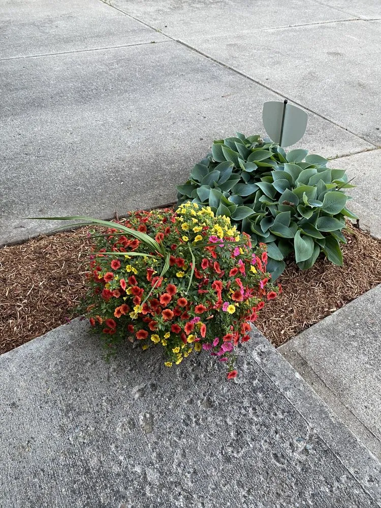 Professional lawn care service in Lawrence, IN by R&C Tree And Landscaping services