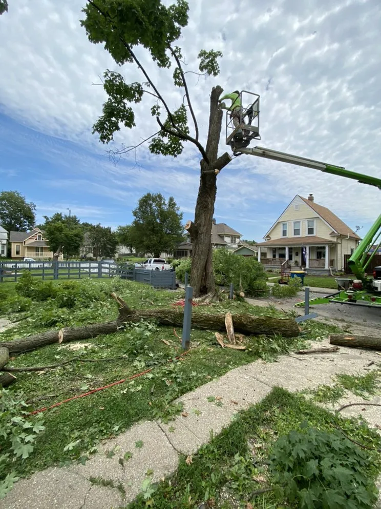 Expert landscape design experts serving Lawrence, IN - R&C Tree And Landscaping services