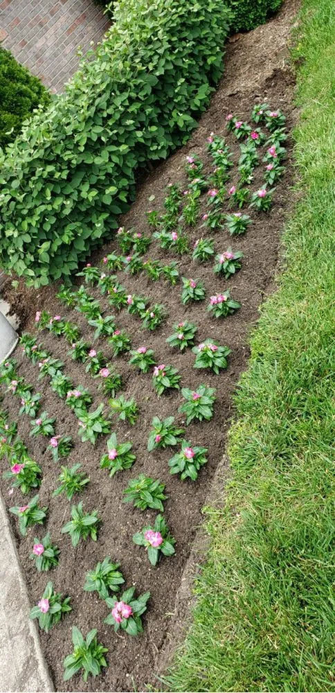 Reliable yard maintenance in Lawrence, IN by R&C Tree And Landscaping services