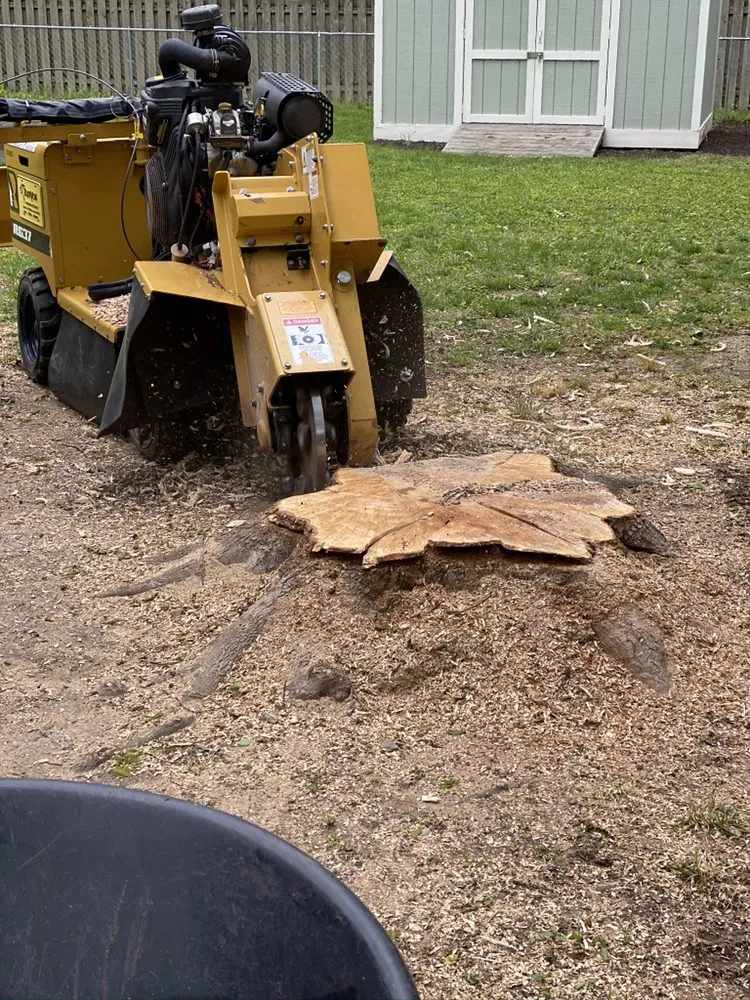 Reliable lawn mowing service in Lawrence, IN by R&C Tree And Landscaping services