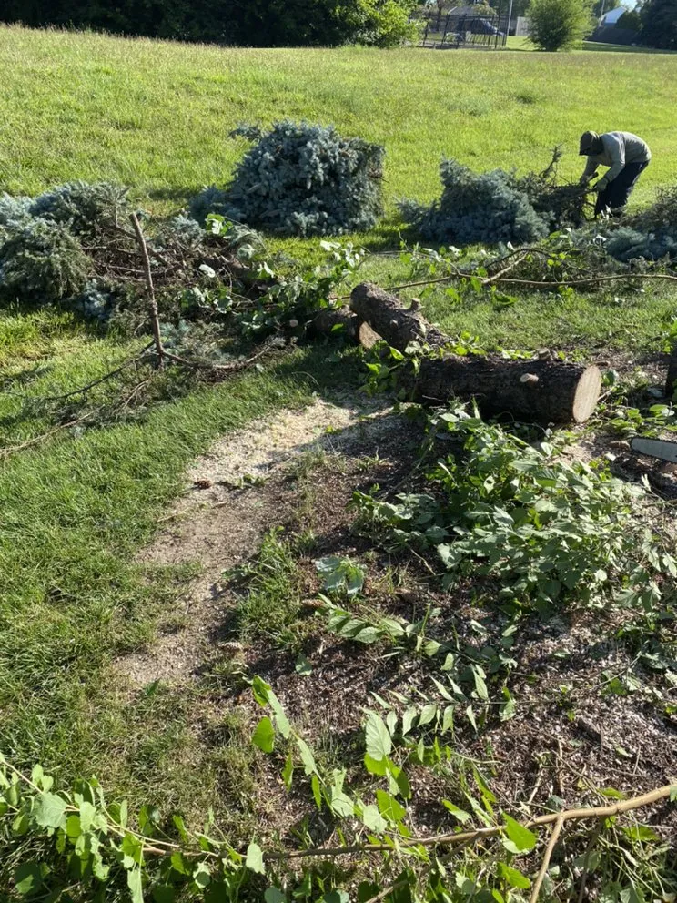 Reliable landscape design for outdoor upgrades across Lawrence, IN - R&C Tree And Landscaping services