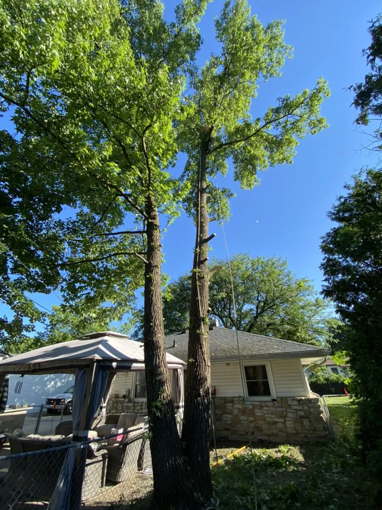 Affordable landscaping services in Lawrence, IN - R&C Tree And Landscaping services