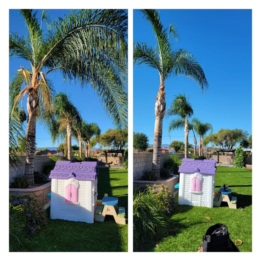 Affordable yard maintenance experts serving Riverside, CA - RC Tree Service & Landscaping