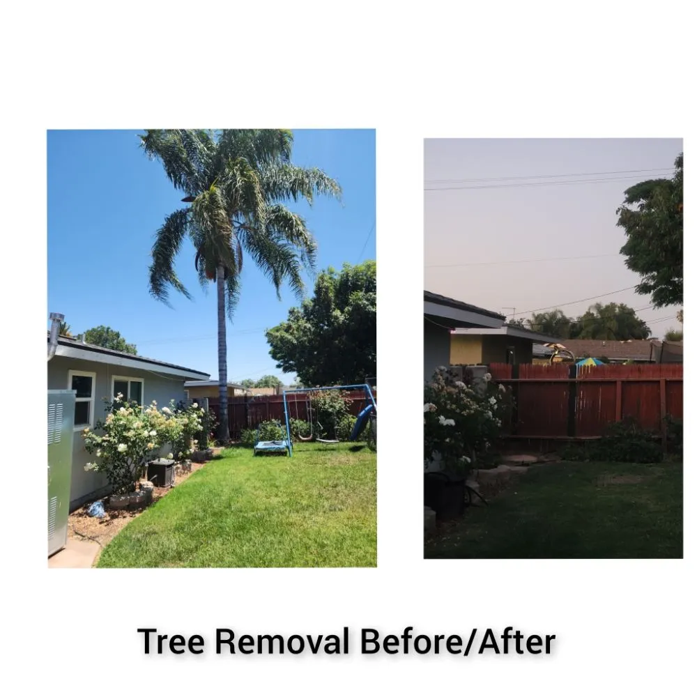 Expert landscape installation for residential properties across Riverside, CA - RC Tree Service & Landscaping