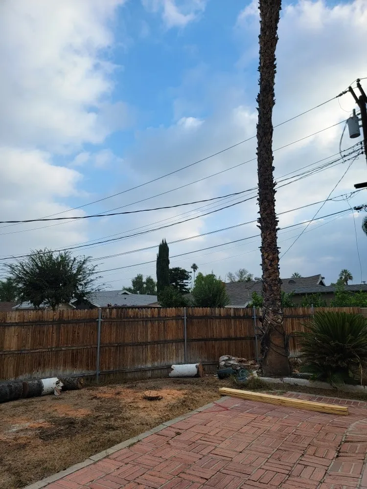 Affordable yard maintenance near you in Riverside, CA by RC Tree Service & Landscaping