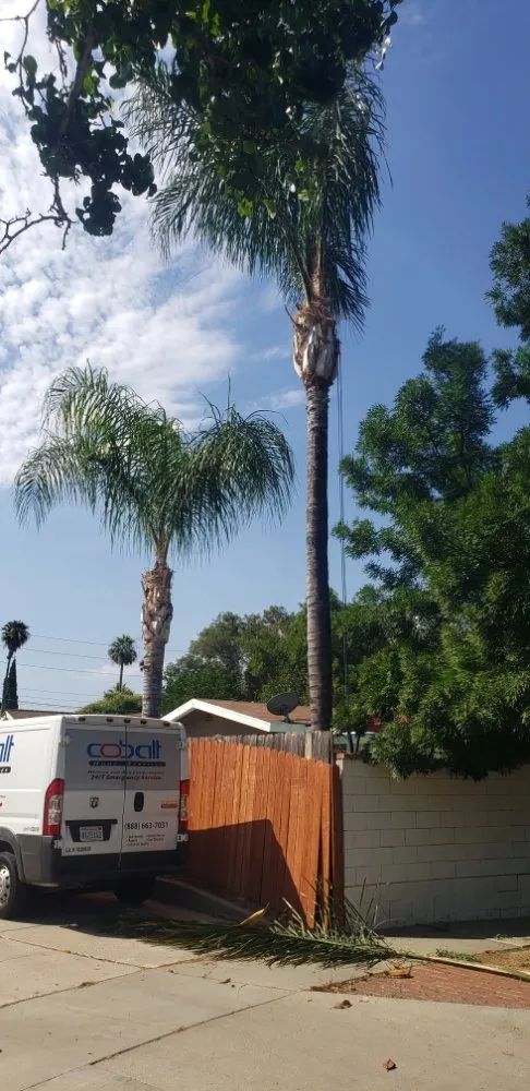 Local lawn care service with custom design in Riverside, CA by RC Tree Service & Landscaping