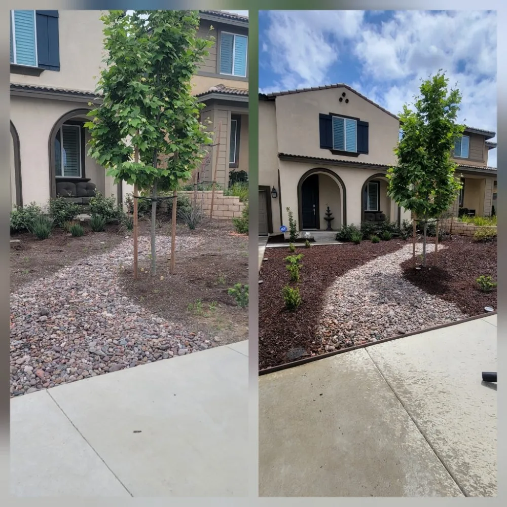 Trusted lawn mowing service in Riverside, CA by RC Tree Service & Landscaping