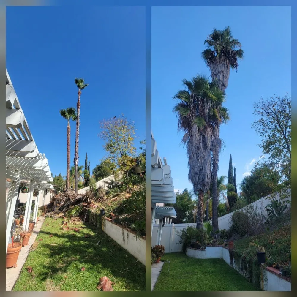 Affordable residential landscaping for outdoor upgrades in Riverside, CA by RC Tree Service & Landscaping