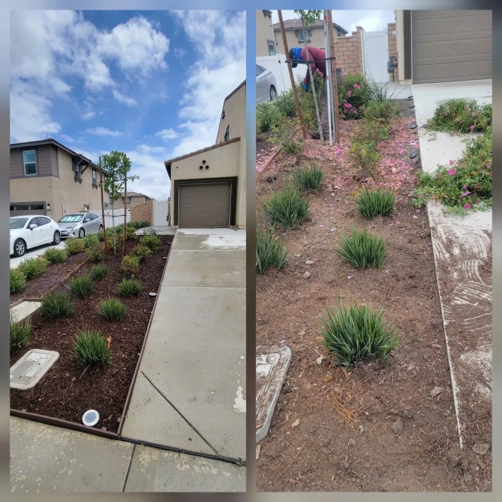 Expert yard maintenance in Riverside, CA by RC Tree Service & Landscaping