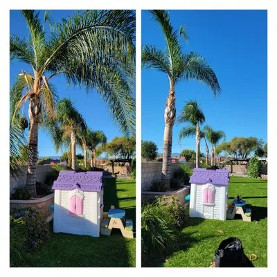 RC Tree Service & Landscaping Logo