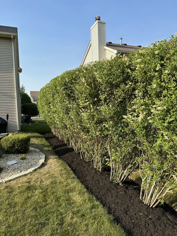 Trusted garden landscaping for outdoor upgrades across Elgin, IL - RC Tree Service & More
