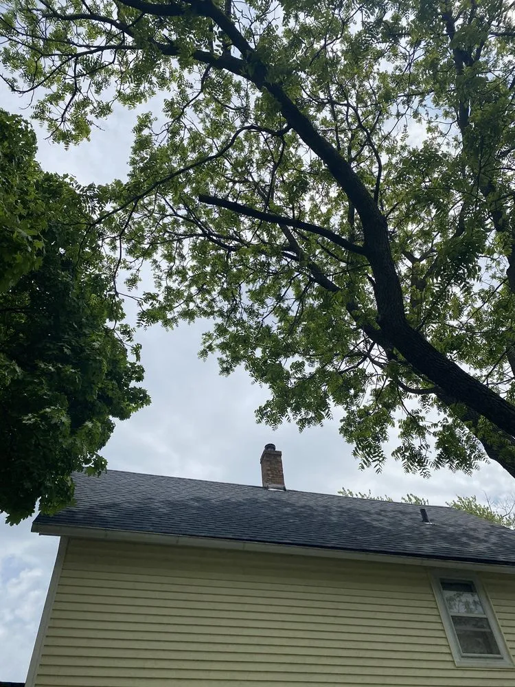 Local lawn care service for year-round maintenance in Elgin, IL by RC Tree Service & More