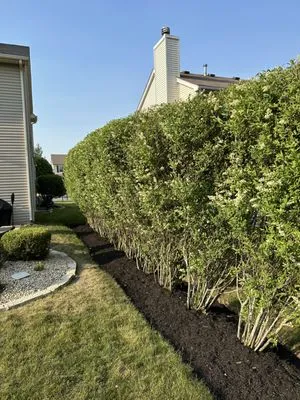 RC Tree Service & More Logo