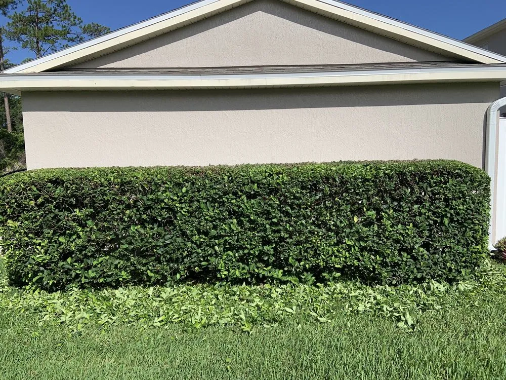 Expert outdoor landscaping for beautiful yards across Mount Dora, FL - RC Visionz Lawn & Landscape
