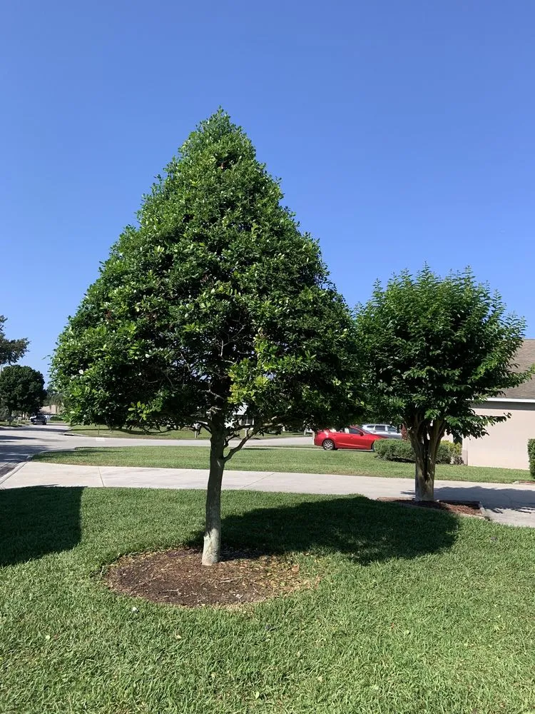 Expert landscape design in Mount Dora, FL - RC Visionz Lawn & Landscape