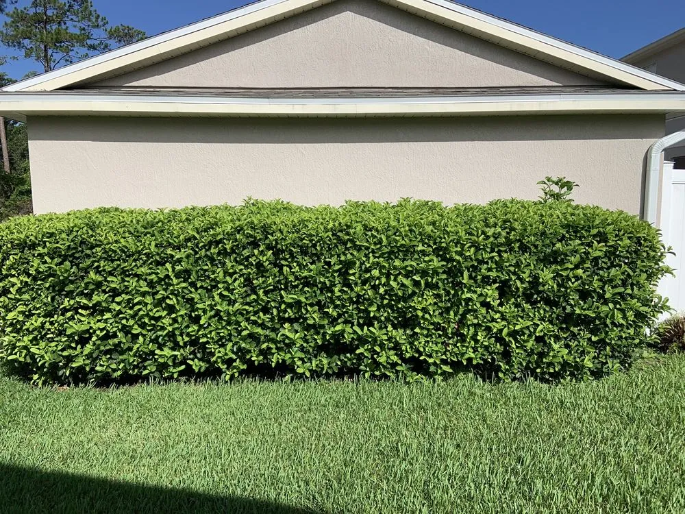 Professional lawn mowing service for residential properties in Mount Dora, FL by RC Visionz Lawn & Landscape