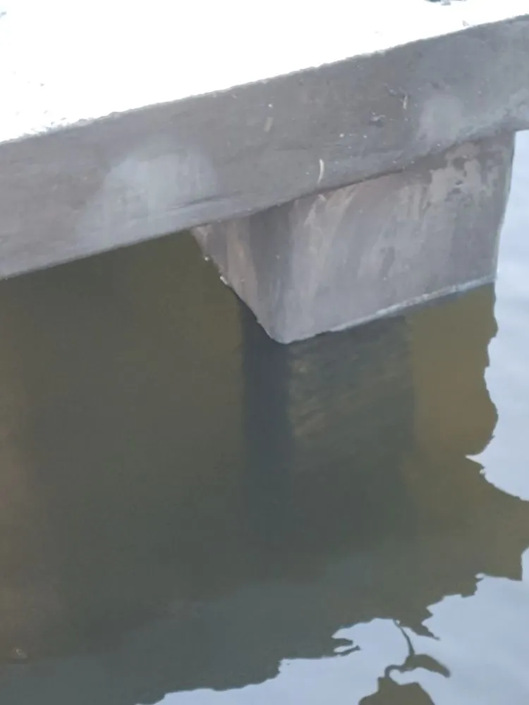 Custom yard cleanup service experts serving Jacksonville, FL - RCB Construction