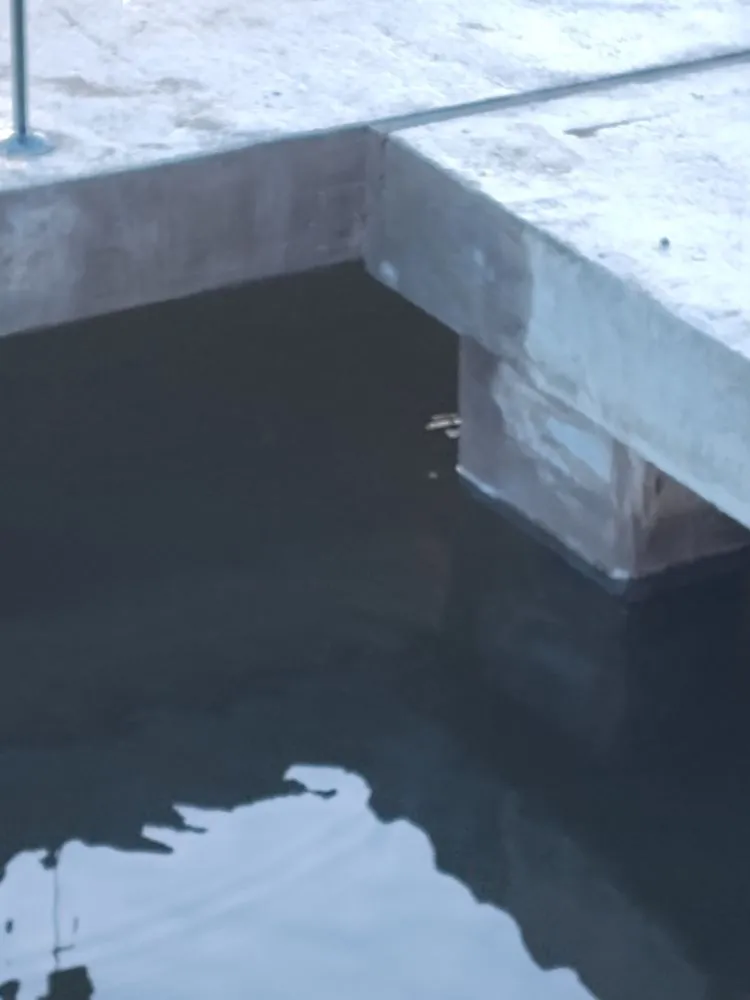 Trusted yard cleanup service experts serving Jacksonville, FL - RCB Construction