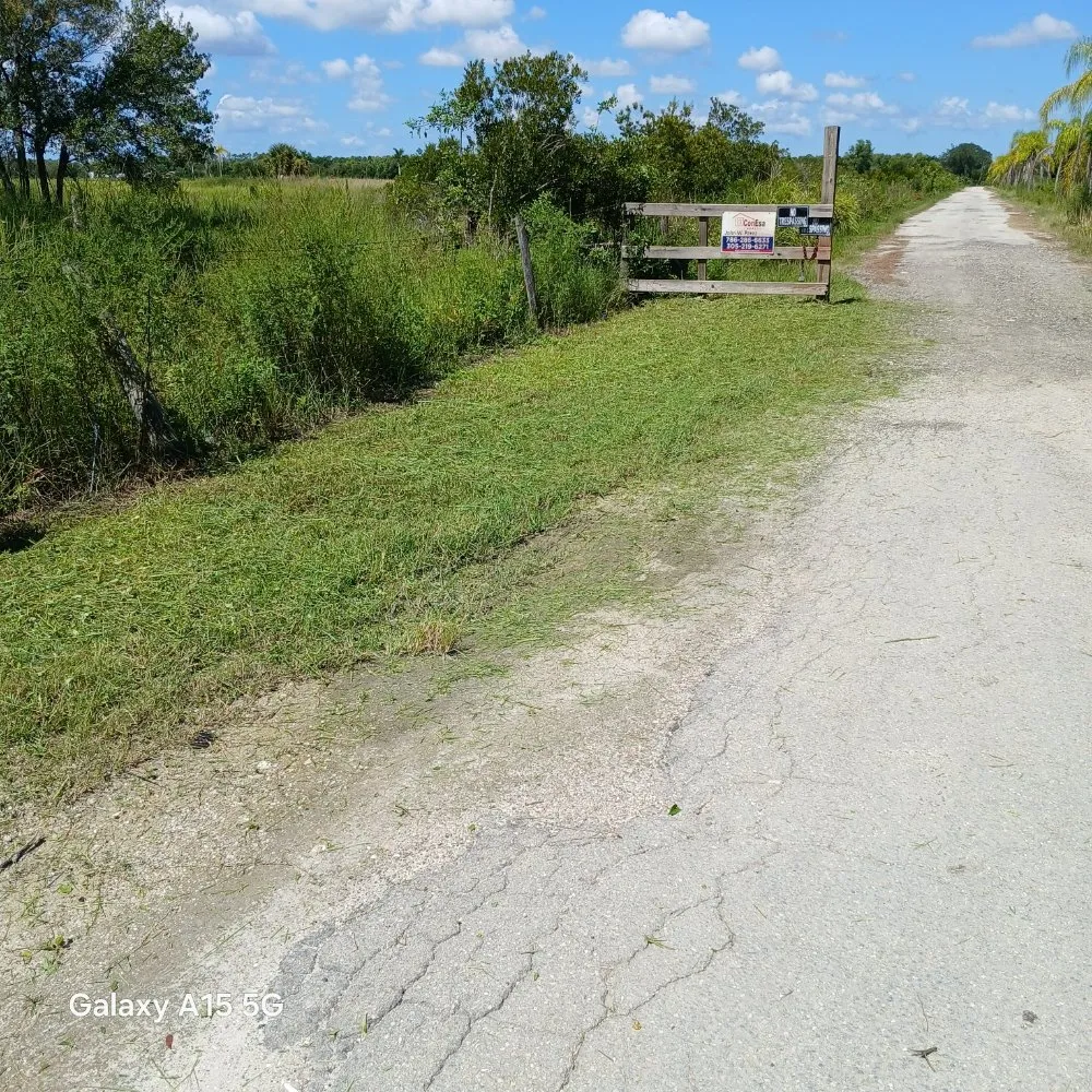 Top-rated lawn care service in North Fort Myers, FL - RCC Landscaping