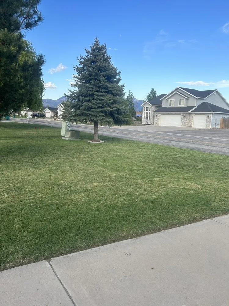 Custom landscape installation experts serving Clinton, UT - Rcc Lawn Care