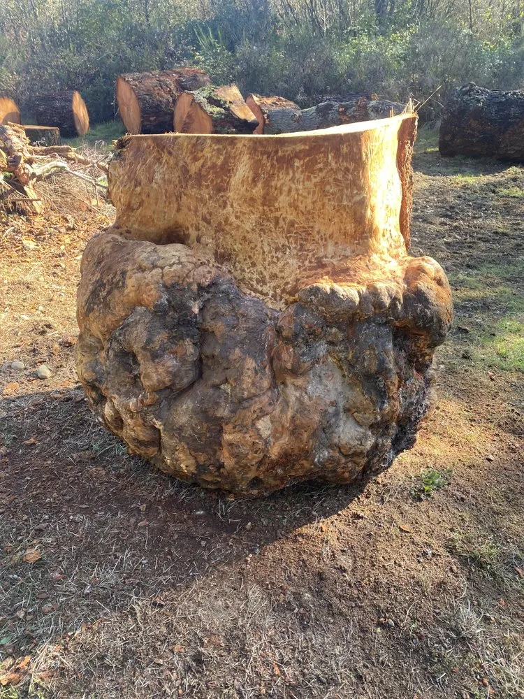 Reliable outdoor landscaping in Tumwater, WA by RCC Logging