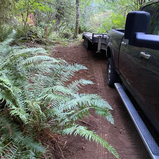 Trusted yard cleanup service near you across Tumwater, WA - RCC Logging