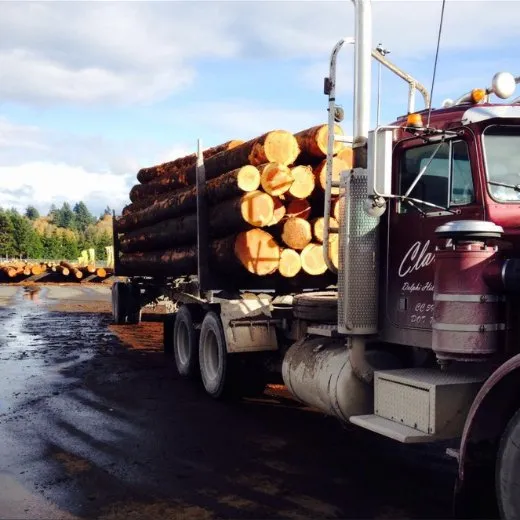 Reliable lawn care service for homes across Tumwater, WA - RCC Logging