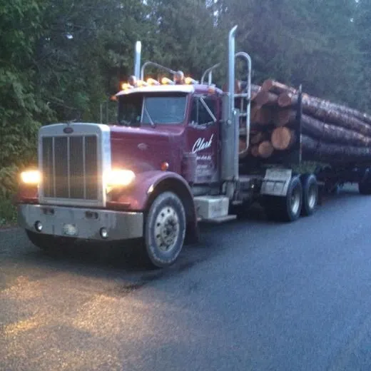 Custom landscape installation with custom design in Tumwater, WA by RCC Logging