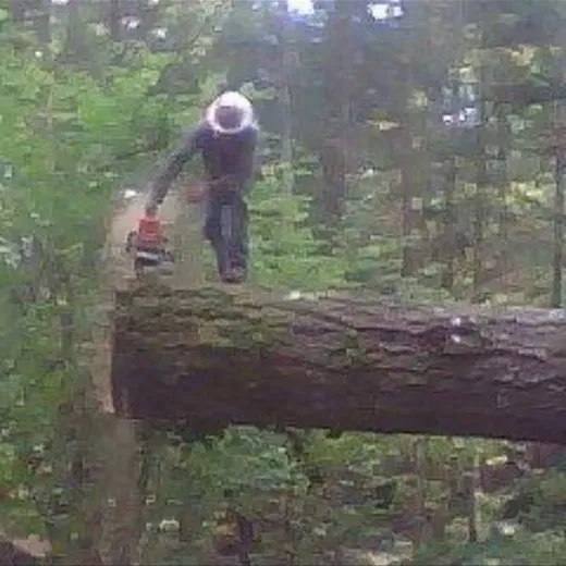 Custom garden landscaping experts serving Tumwater, WA - RCC Logging