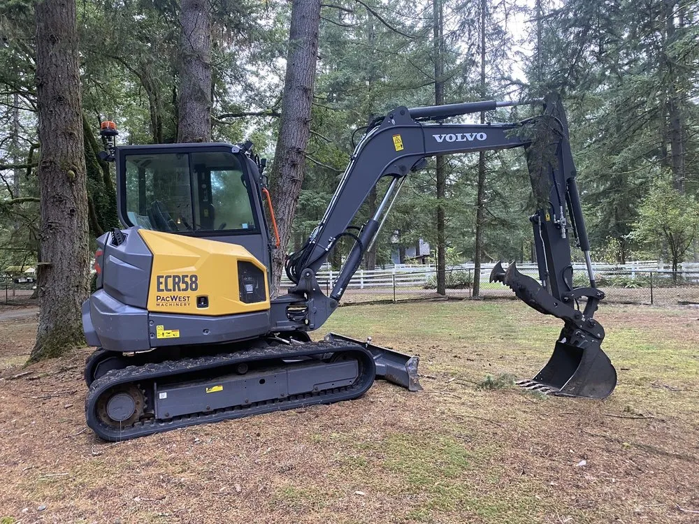 Custom yard cleanup service in Tumwater, WA by RCC Logging