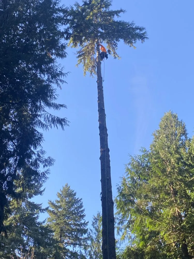 Professional residential landscaping for outdoor upgrades in Tumwater, WA by RCC Logging