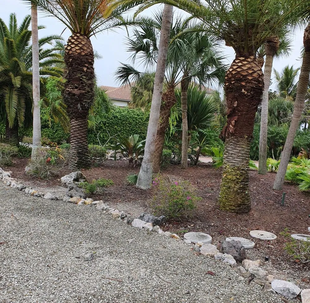 Trusted yard maintenance for outdoor upgrades across Englewood, FL - RCD Lawn Maintenance & Tree Service