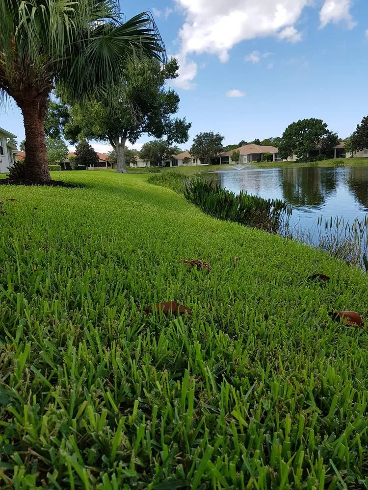 Reliable landscaping services experts serving Englewood, FL - RCD Lawn Maintenance & Tree Service