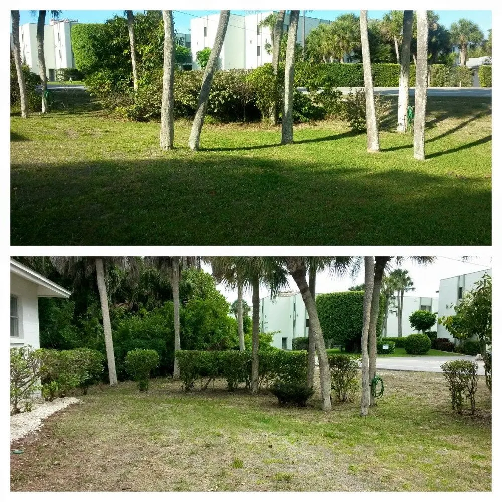 Reliable landscaping services in Englewood, FL by RCD Lawn Maintenance & Tree Service