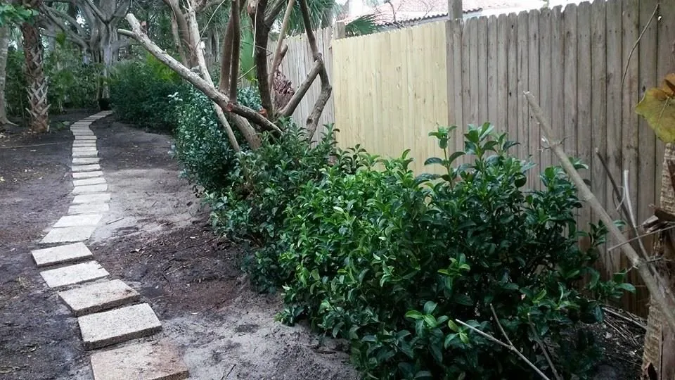 Trusted lawn care service for residential properties across Englewood, FL - RCD Lawn Maintenance & Tree Service