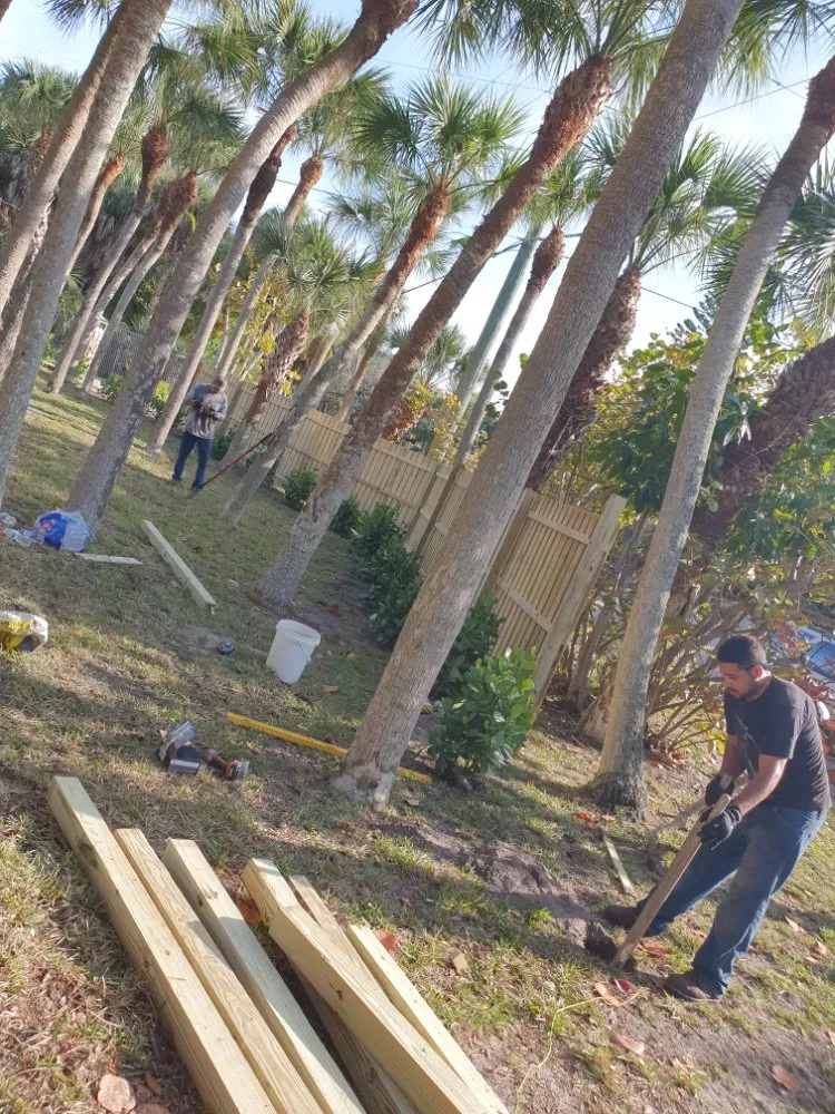 Expert yard cleanup service in Englewood, FL - RCD Lawn Maintenance & Tree Service