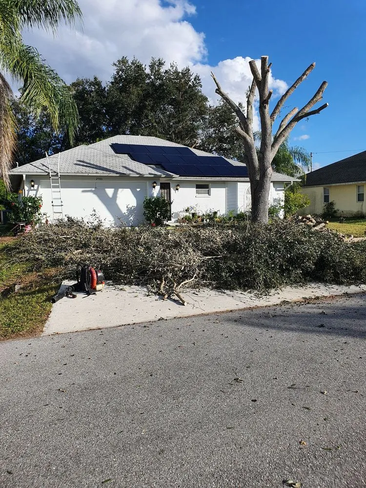 Custom landscape installation in Englewood, FL - RCD Lawn Maintenance & Tree Service