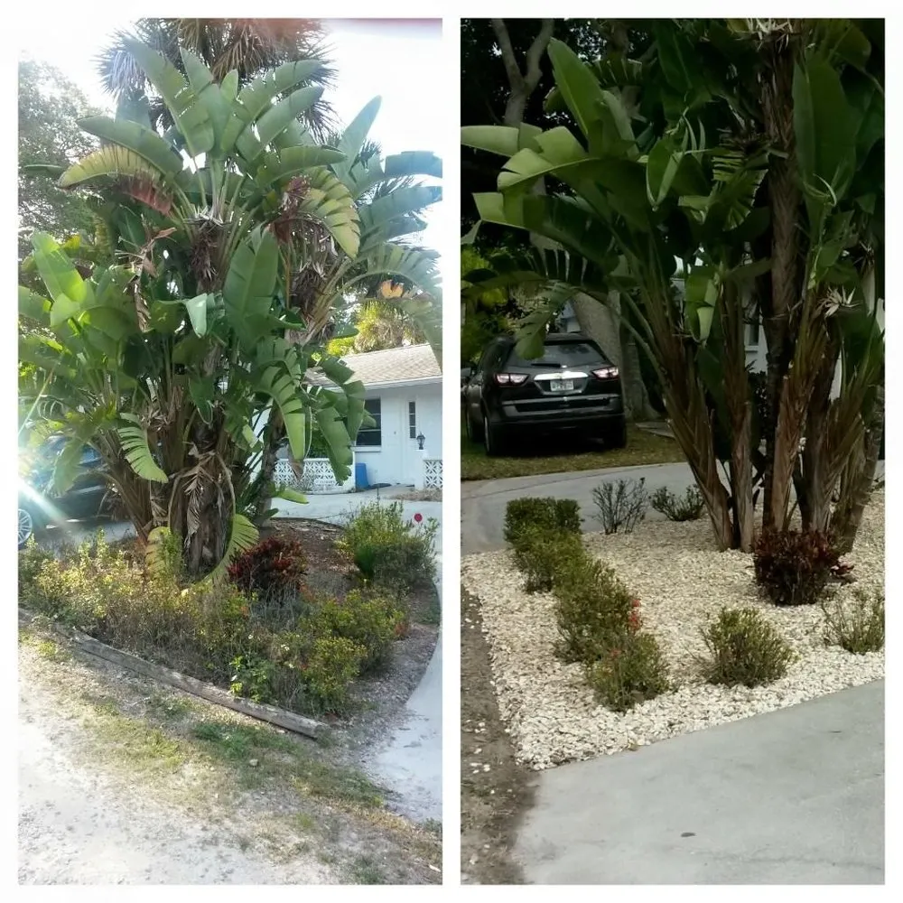 Affordable lawn mowing service experts serving Englewood, FL - RCD Lawn Maintenance & Tree Service