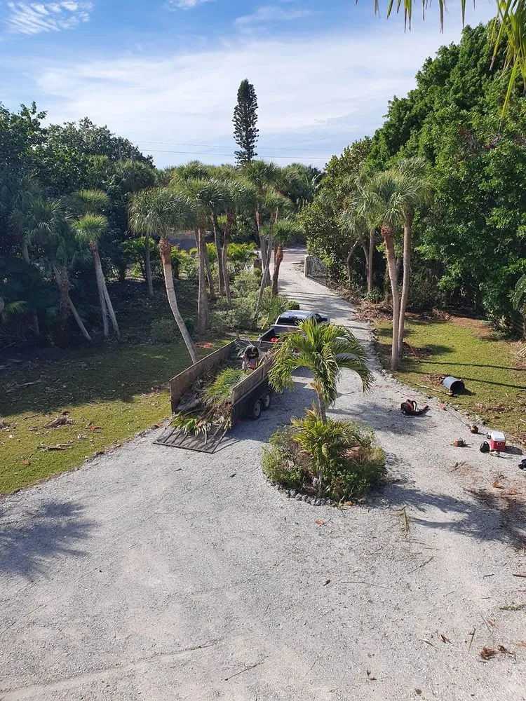 Professional lawn care service for beautiful yards in Englewood, FL by RCD Lawn Maintenance & Tree Service