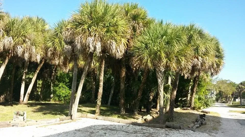 Reliable garden landscaping for outdoor upgrades in Englewood, FL by RCD Lawn Maintenance & Tree Service