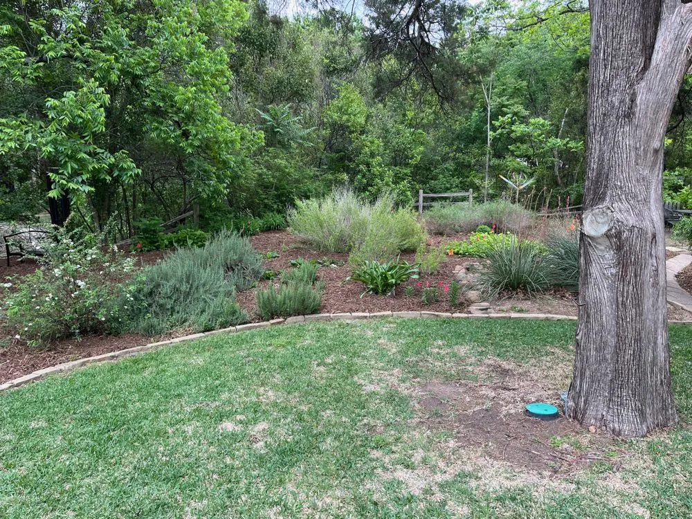 Local lawn care service in Forney, TX by RCD Outdoors