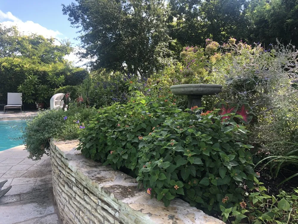 Professional yard maintenance in Forney, TX - RCD Outdoors