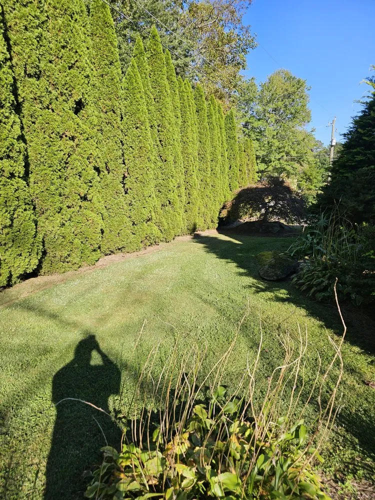 Affordable yard maintenance for beautiful yards in Clarkesville, GA by RCF Lawn Care