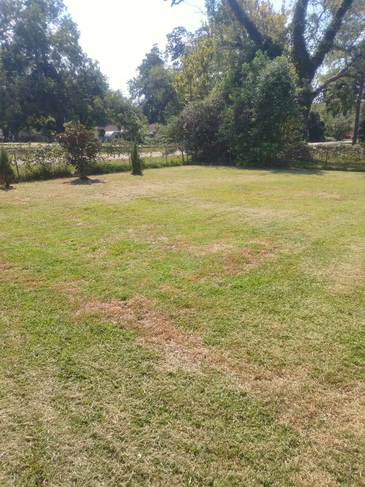 Trusted residential landscaping for year-round maintenance in Brazoria, TX by RCG Property Maintenance